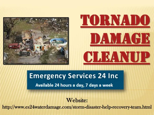 Tornado Damage Cleanup