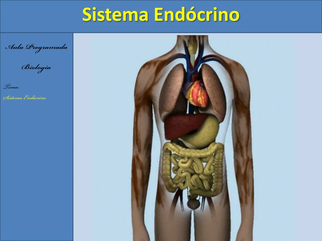 sistema end crino