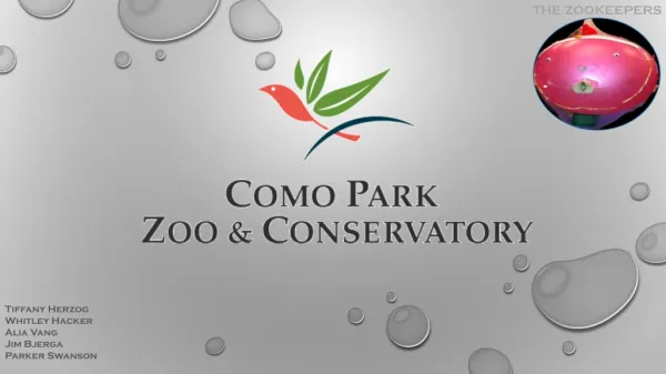 Como Zoo Group Presentation - Draft