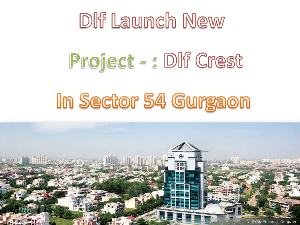 dlf launch new