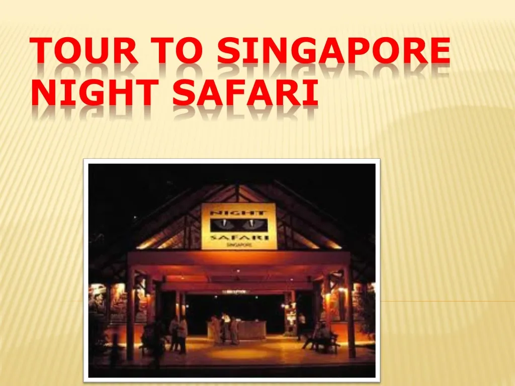 tour to singapore night safari