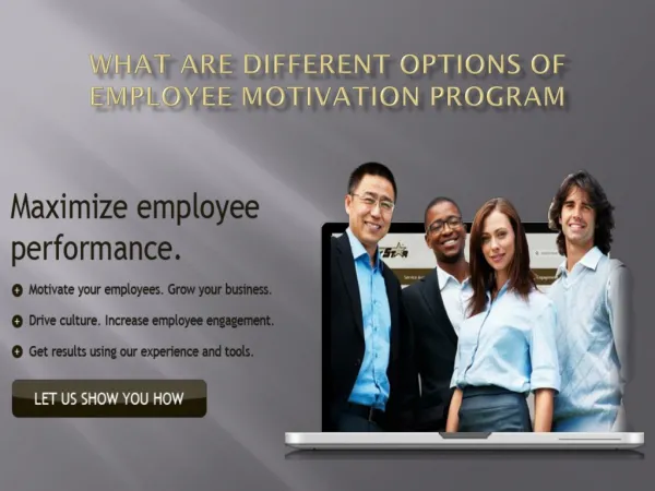 What are different options of employee motivation program