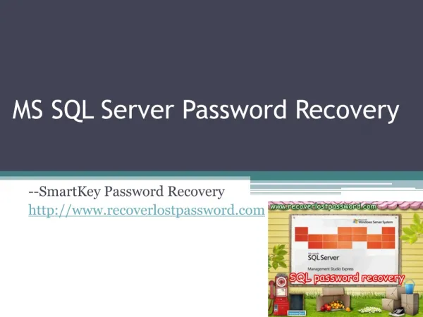 How to Recover SQL Server Password