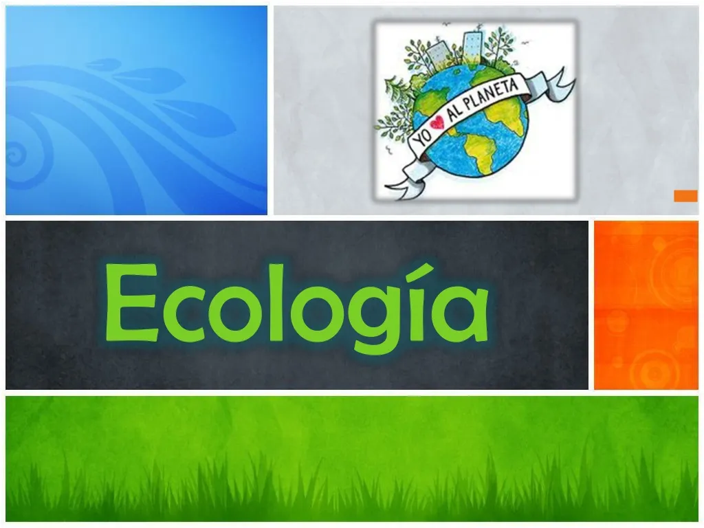 ecolog a