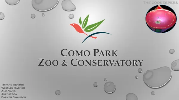Como Zoo Group Presentation - Draft #2