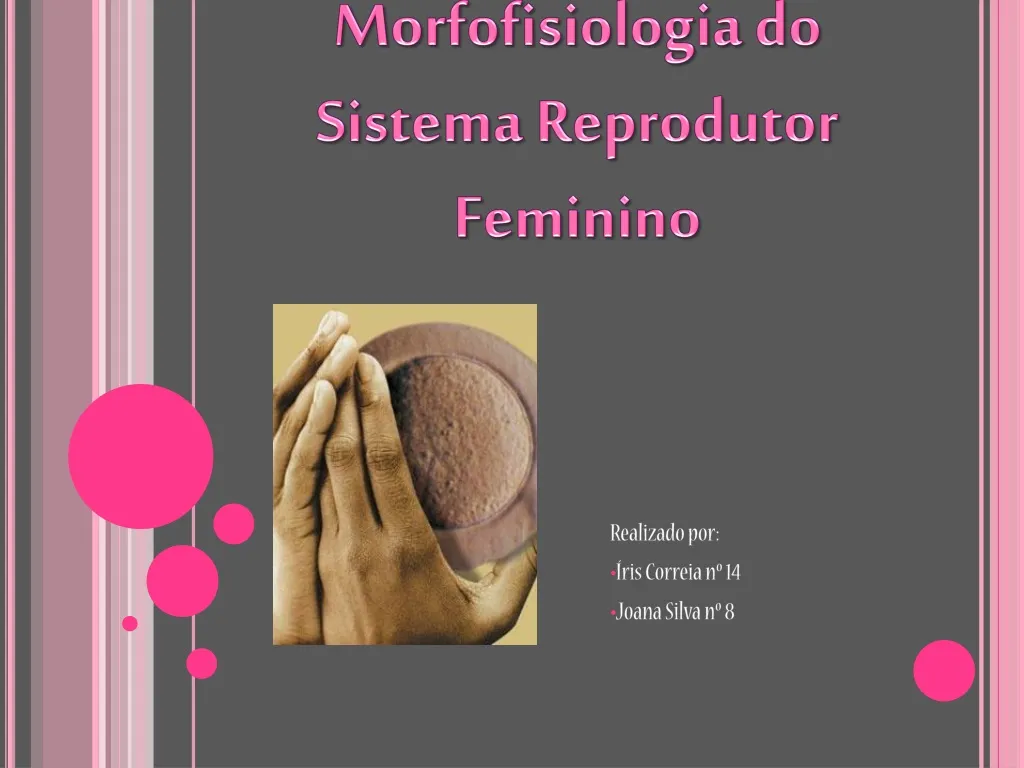 morfofisiologia do sistema reprodutor feminino