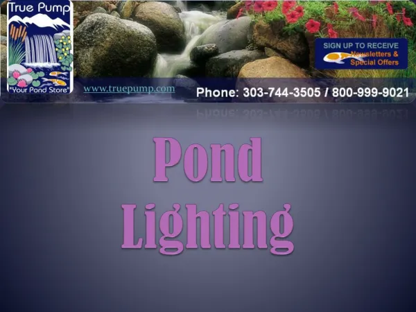 Pond Lighting