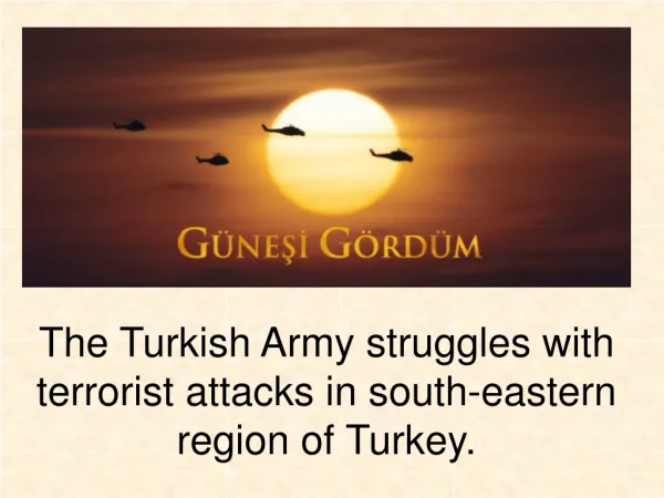 The Turkish Army struggles with terrorist attacks in south-eastern region of Turkey.
