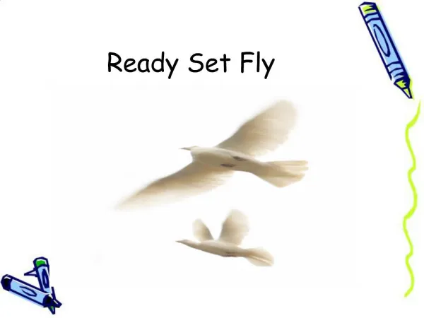 Ready Set Fly
