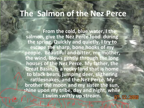 The Salmon of the Nez Perce