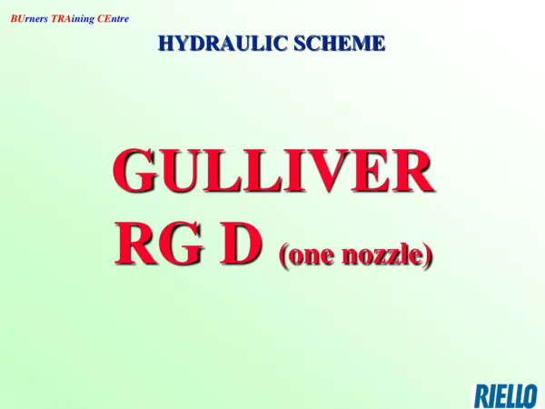 GULLIVER RG D (one nozzle)