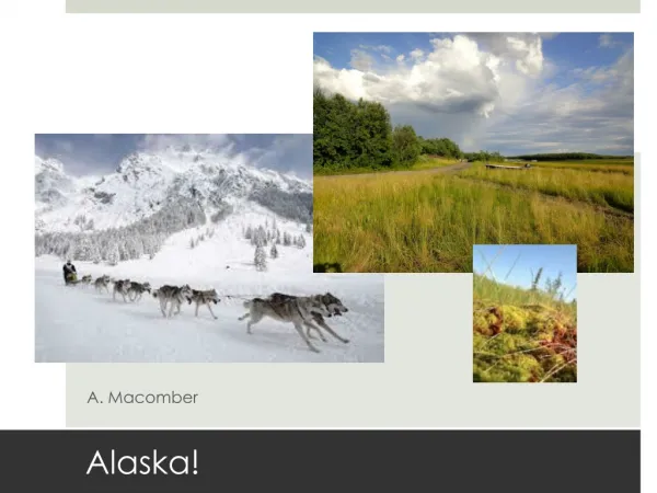 Alaska Presentation for New Zealand