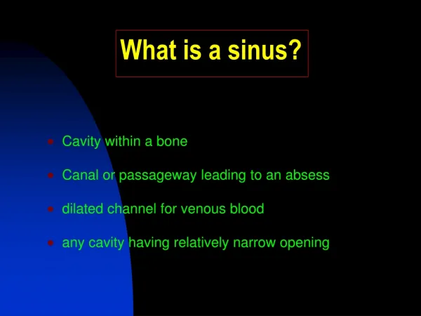 What is a sinus?