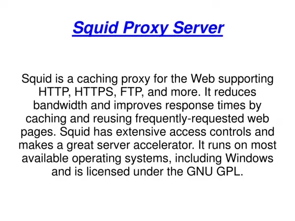 Squid proxy server