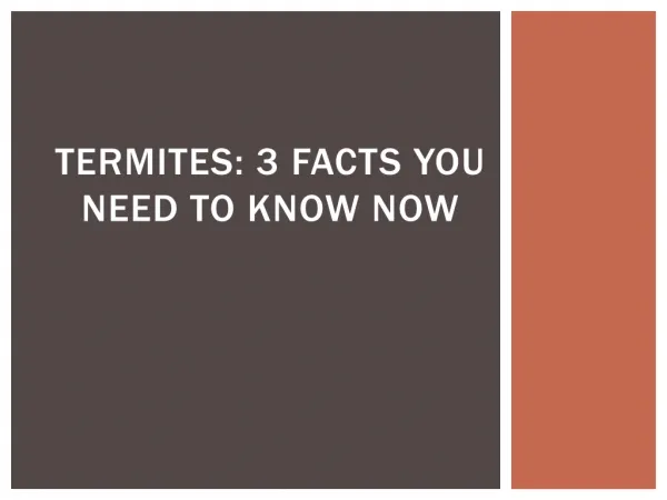 Termites: 3 Facts You Need to Know Now