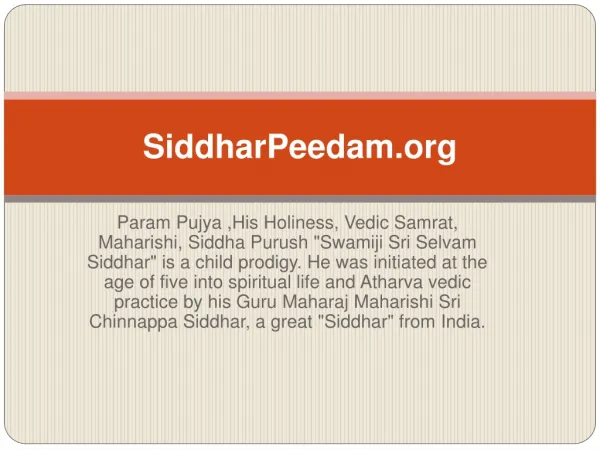 Swamiji sri selvam siddhar