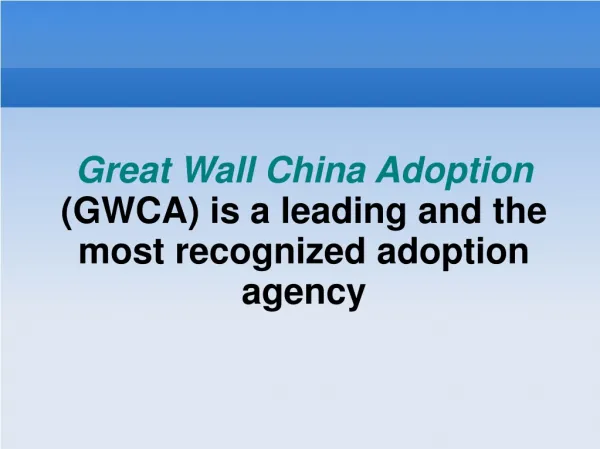 Great Wall China Adoption is a leading adoption agency