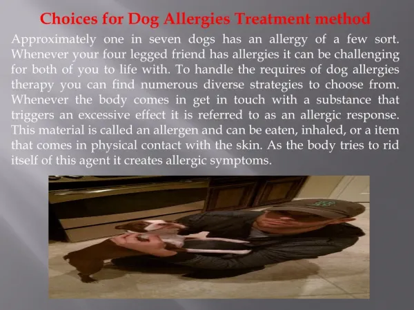 Choices for Dog Allergies Treatment method