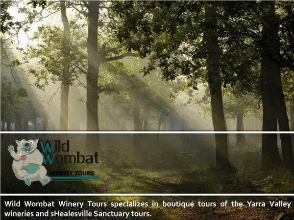 Wild Wombat Winery Tours
