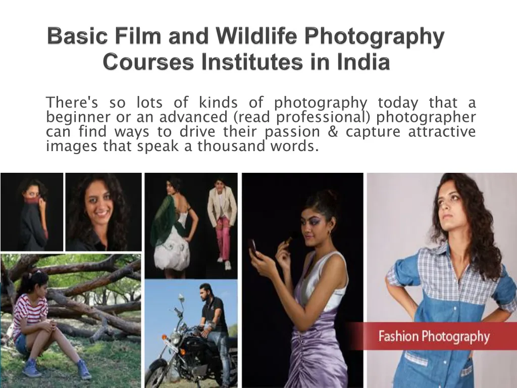 basic film and wildlife photography courses institutes in india