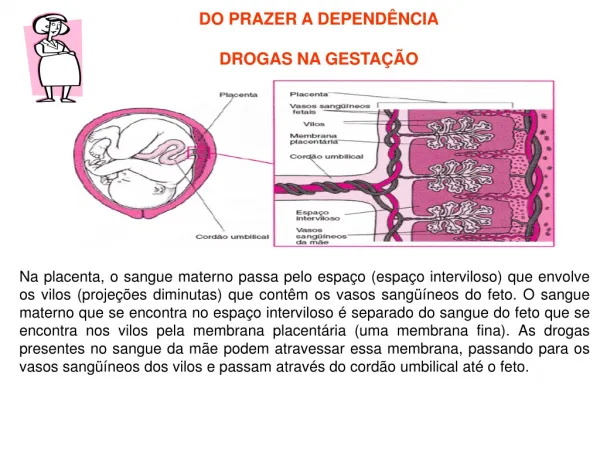 do prazer a depend ncia drogas na gesta o