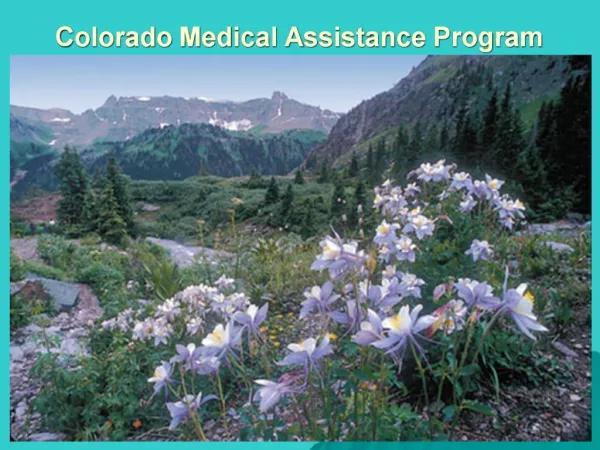 Colorado Medical Assistance Program