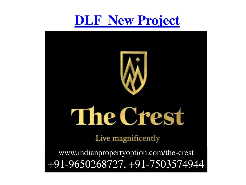 dlf new project