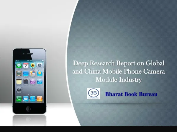 2013 Deep Research Report on Global and China Mobile Phone C