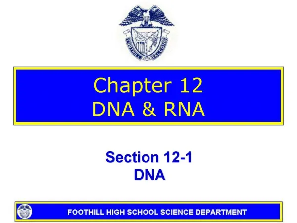 Chapter 12 DNA RNA