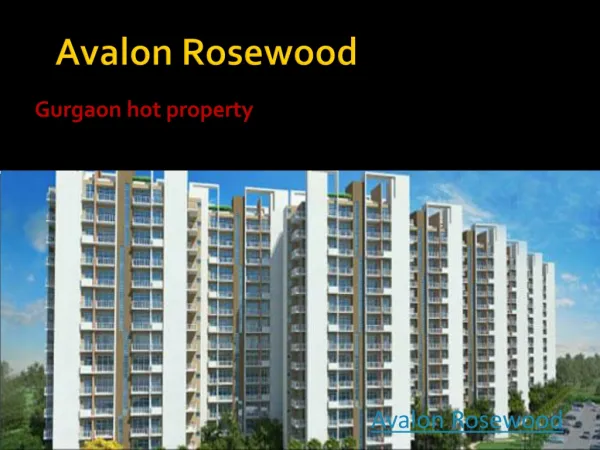 Avalon Rosewood