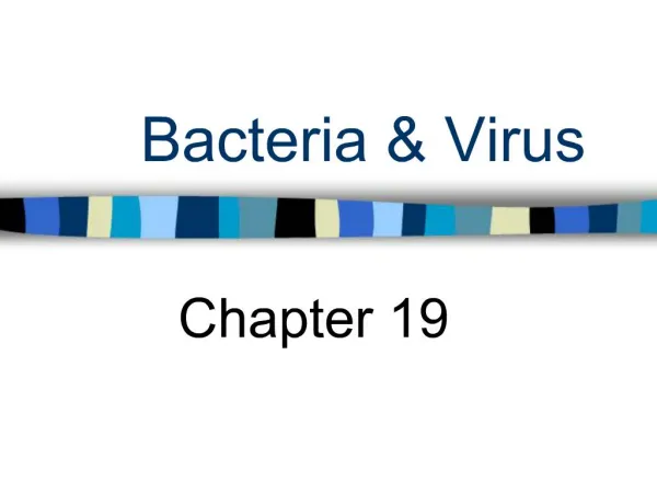 Bacteria Virus