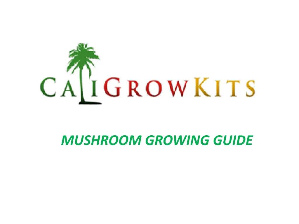 mushroom growing guide