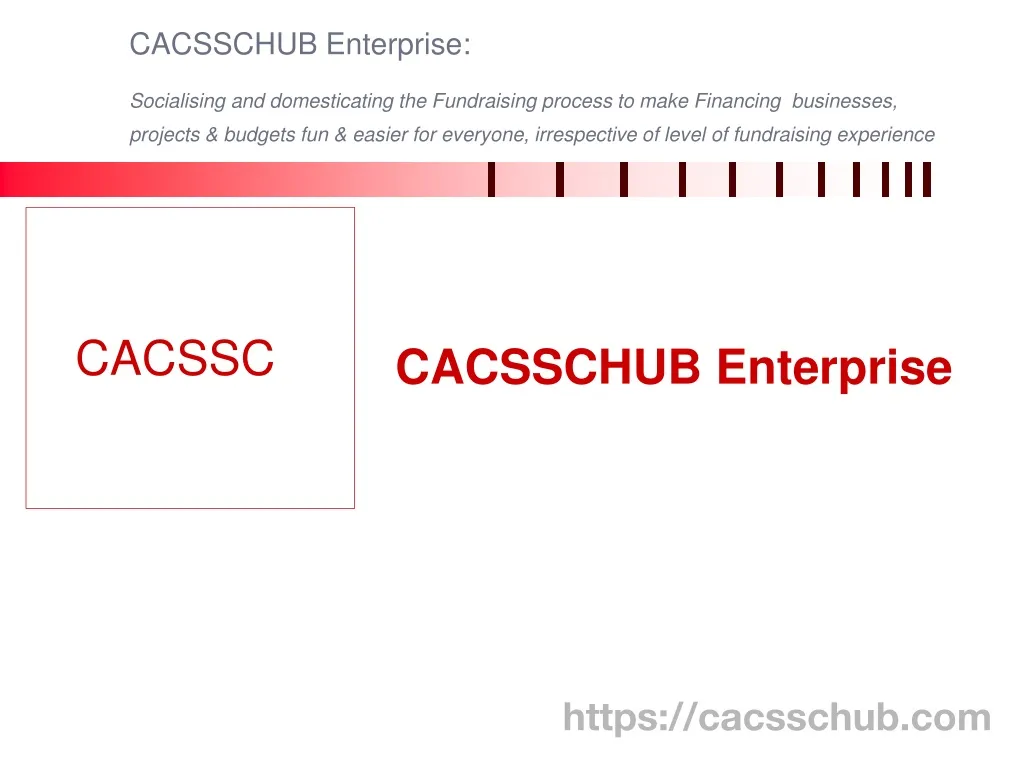 cacsschub enterprise socialising