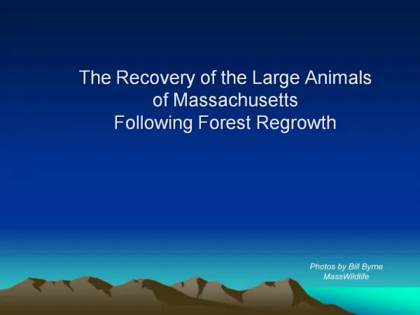 The Recovery of the Large Animals of Massachusetts Following Forest Regrowth