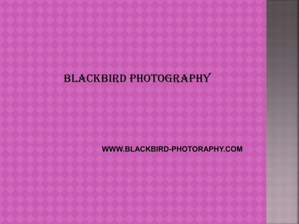 Blackbird Photography - Atlanta Wedding Photographer