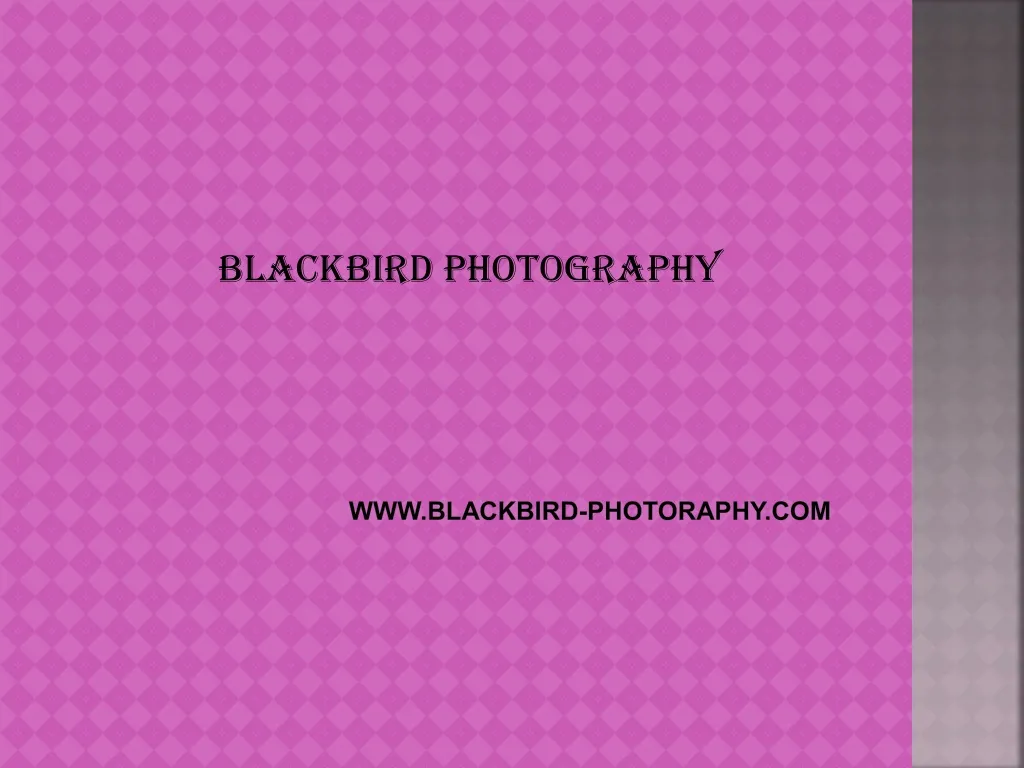 www blackbird photoraphy com