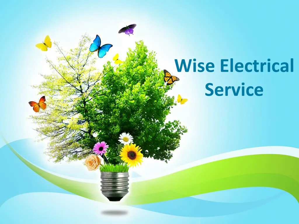 wise electrical service