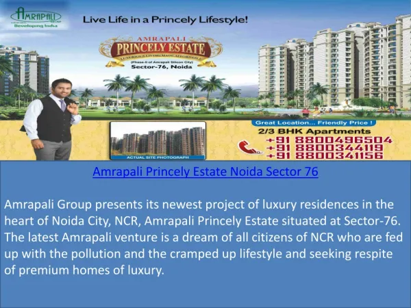 Amrapali Princely Estate Apartments in Noida 8800496504