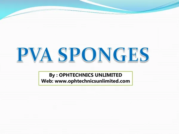 PVA Triangular Spear Sponge