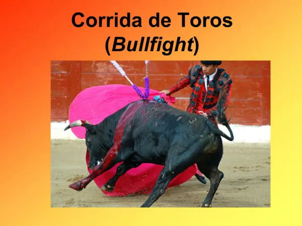 Corrida de Toros Bullfight
