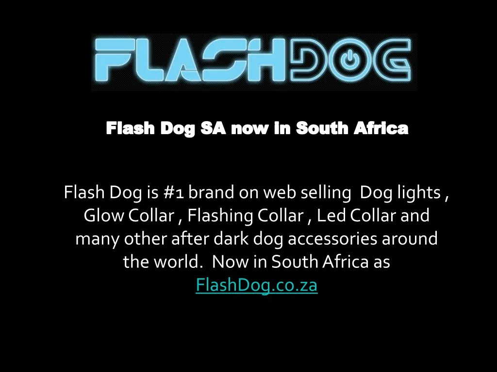 flash dog sa now in south africa
