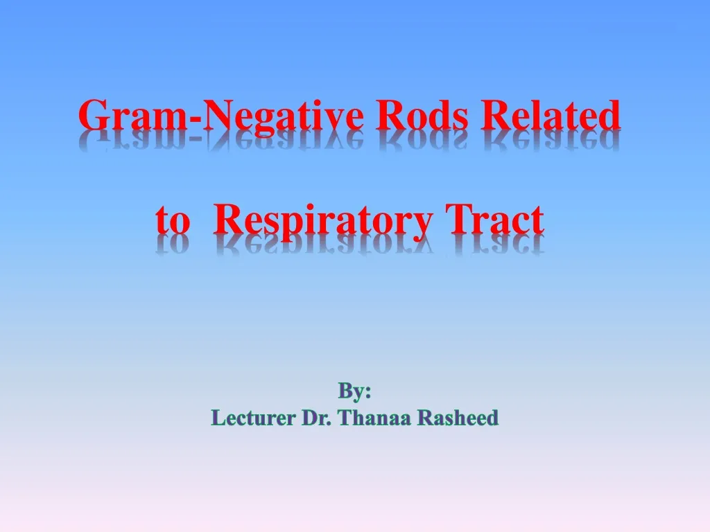 gram negative rods related to respiratory tract