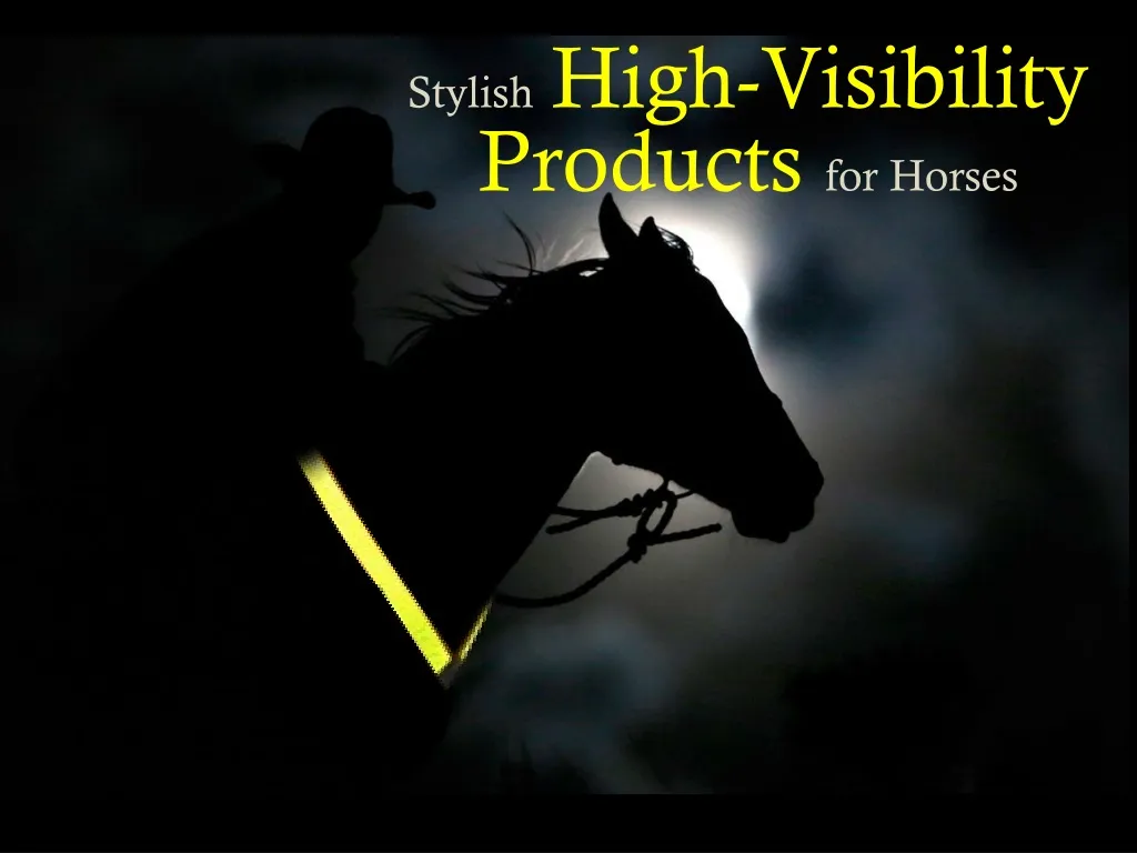stylish high visibility products for horses