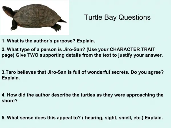 Turtle Bay Questions