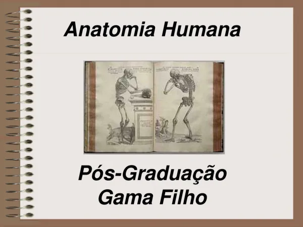 anatomia humana