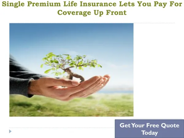 Single Premium Whole Life Insurance Policy