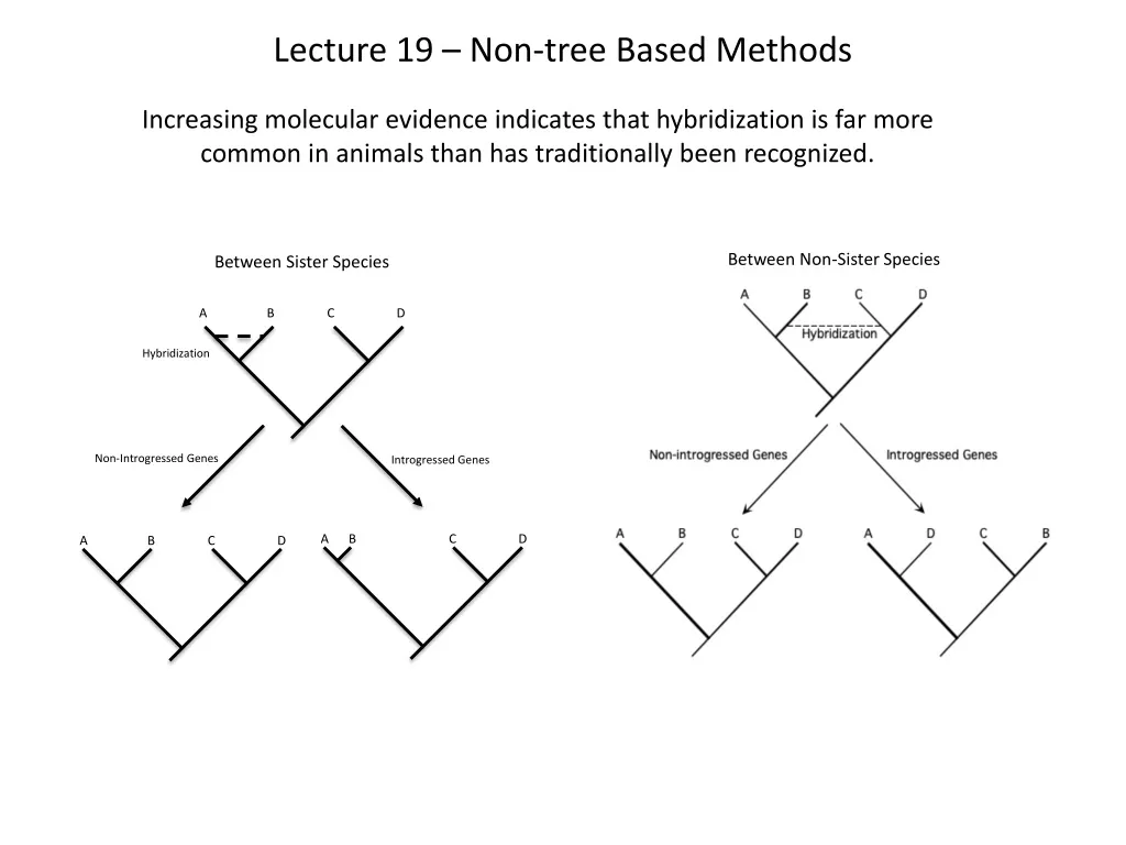 lecture 19 non tree based methods