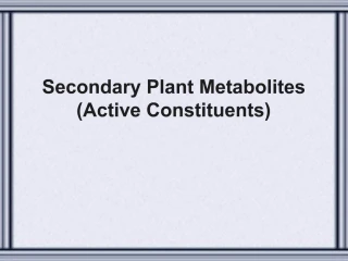Secondary Plant Metabolites Active Constituents - slide 1