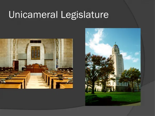 Unicameral Legislature