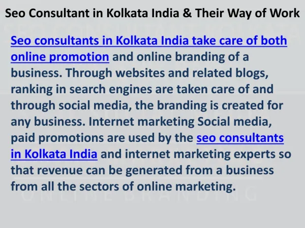 Seo Consultant Kolkata India Kauhsik Basu